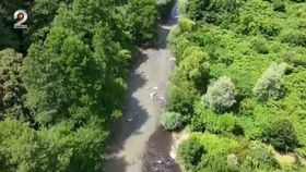 VIDEO Unda de poluare de la Praid va ajunge în Ungaria